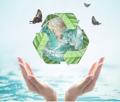 Tips on How to Switch From Plastics in Your Home For Healthier Living