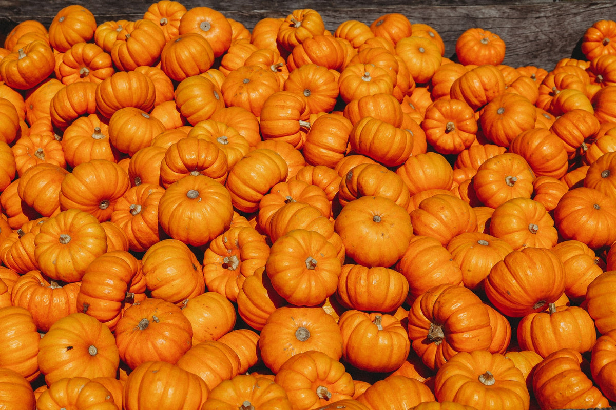 Pumpkin Spice Smoothie
 &ndash; Drink Living Juice