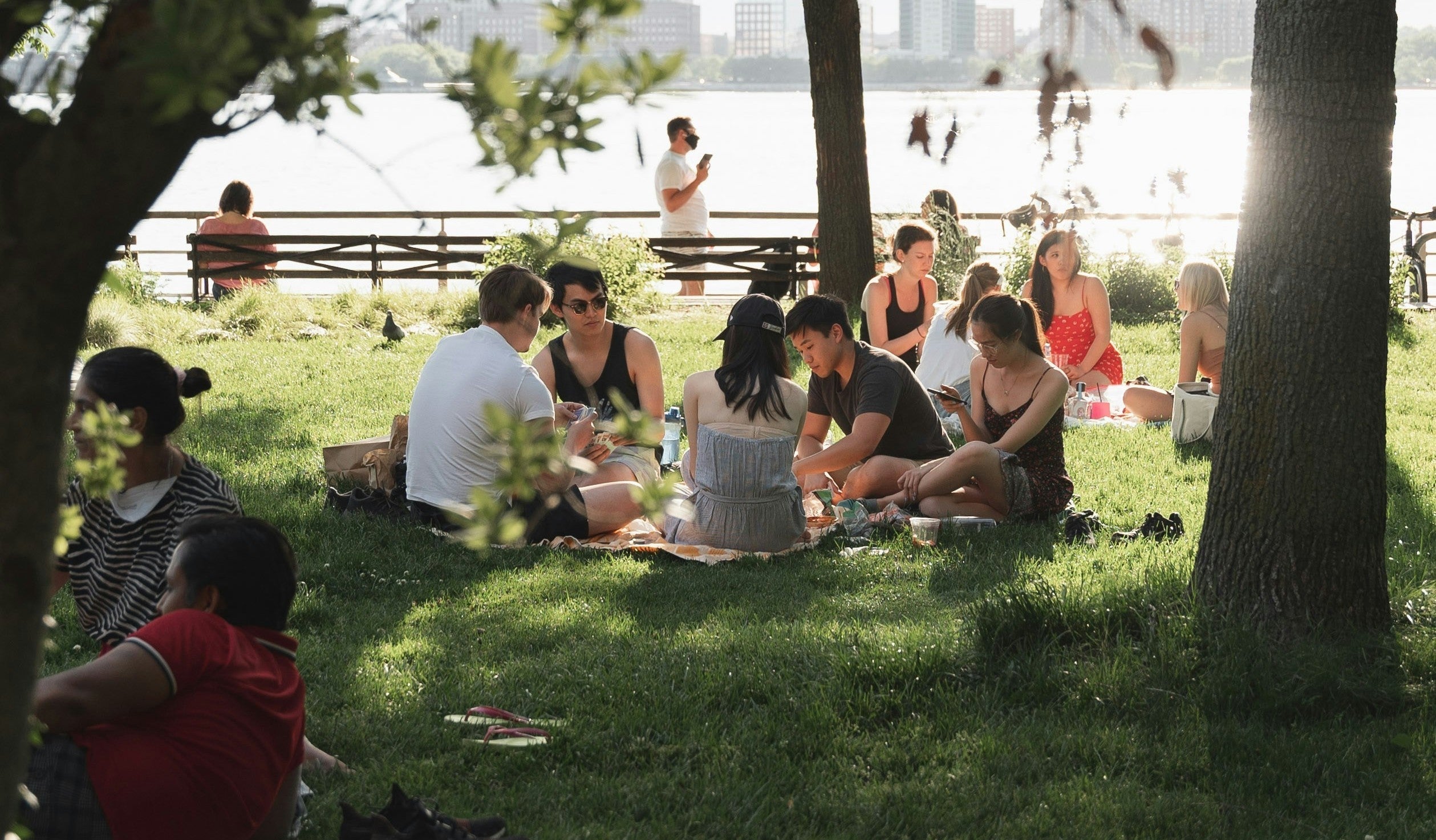 Picnic in spring in New York - blog by makers of organic cold-pressed fruit and vegetable Living Juice