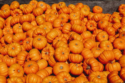 pumpkin patch-- O2 Living blog makers of organic cold-pressed fruit and vegetable Living Juice
