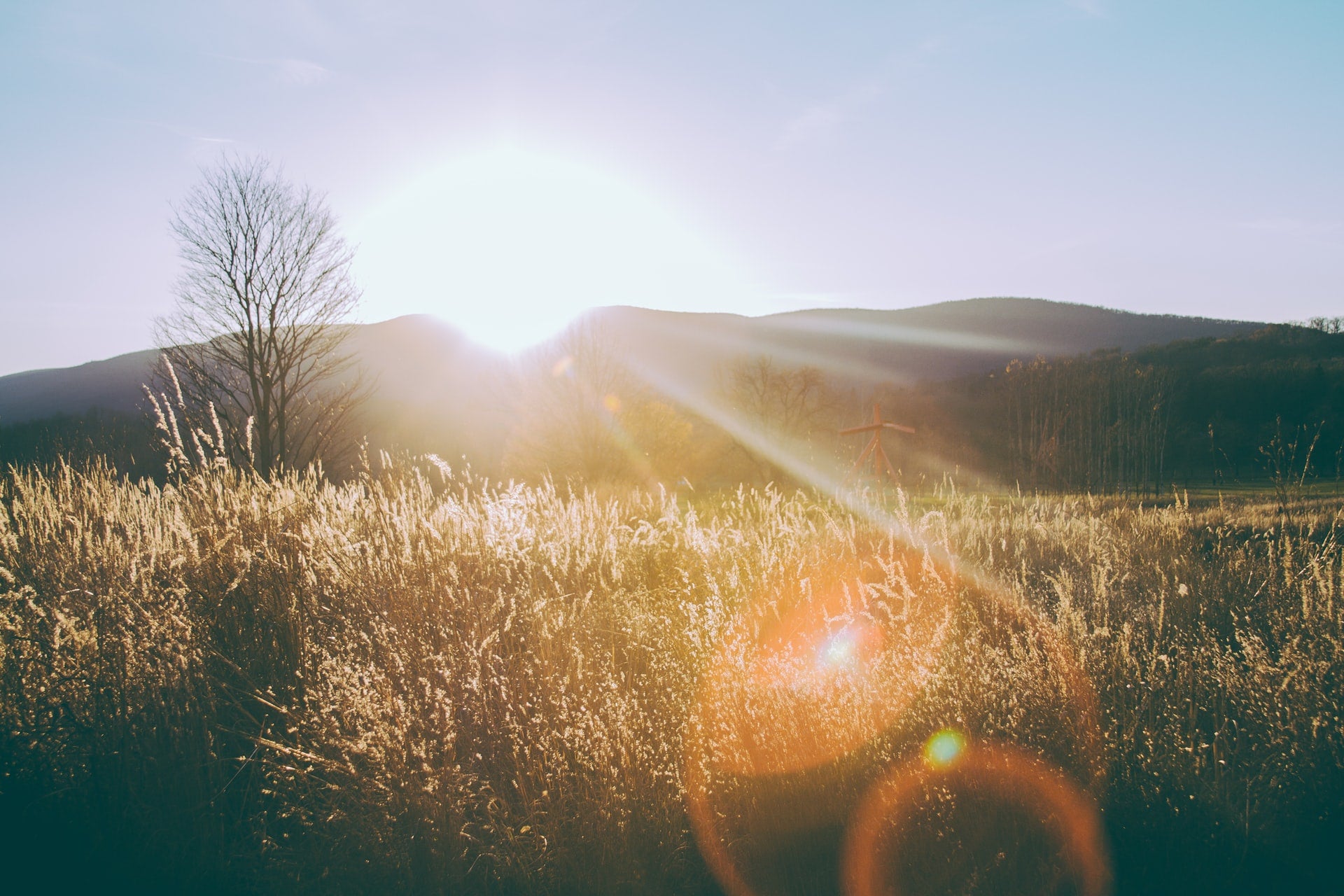 morning sun- O2 Living blog makers of organic cold-pressed fruit and vegetable Living Juice
