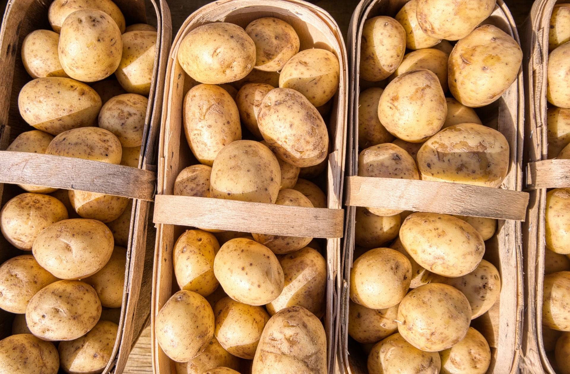 organic potatoes- O2 Living blog makers of organic cold-pressed fruit and vegetable Living Juice