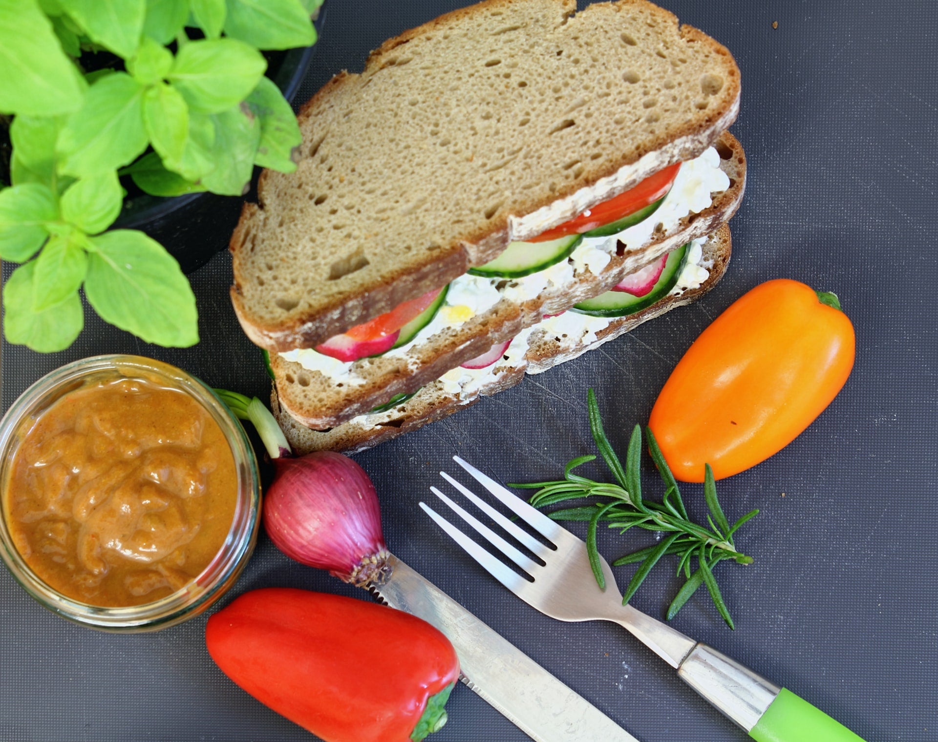 vegan sandwich- O2 Living blog makers of organic cold-pressed fruit and vegetable Living Juice
