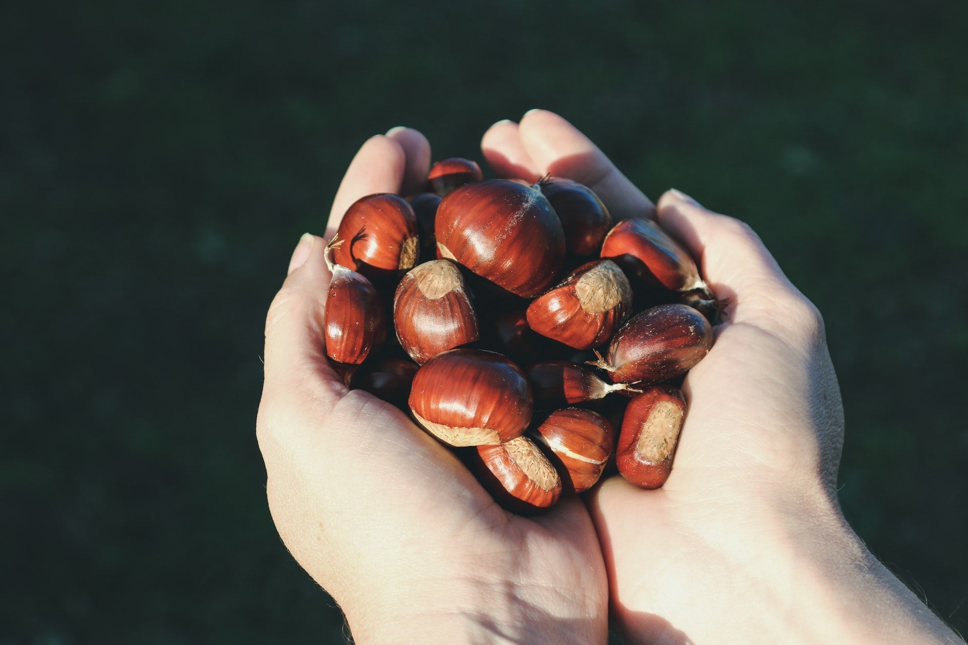 Chestnuts Without the Open Fire
