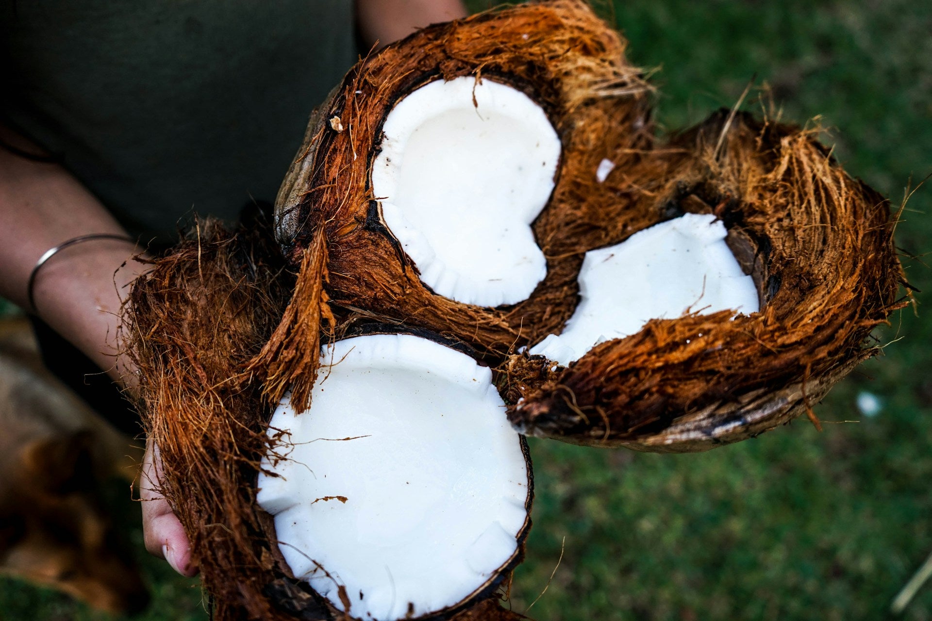coconut- cauliflower- O2 Living blog makers of organic cold-pressed fruit and vegetable Living Juice