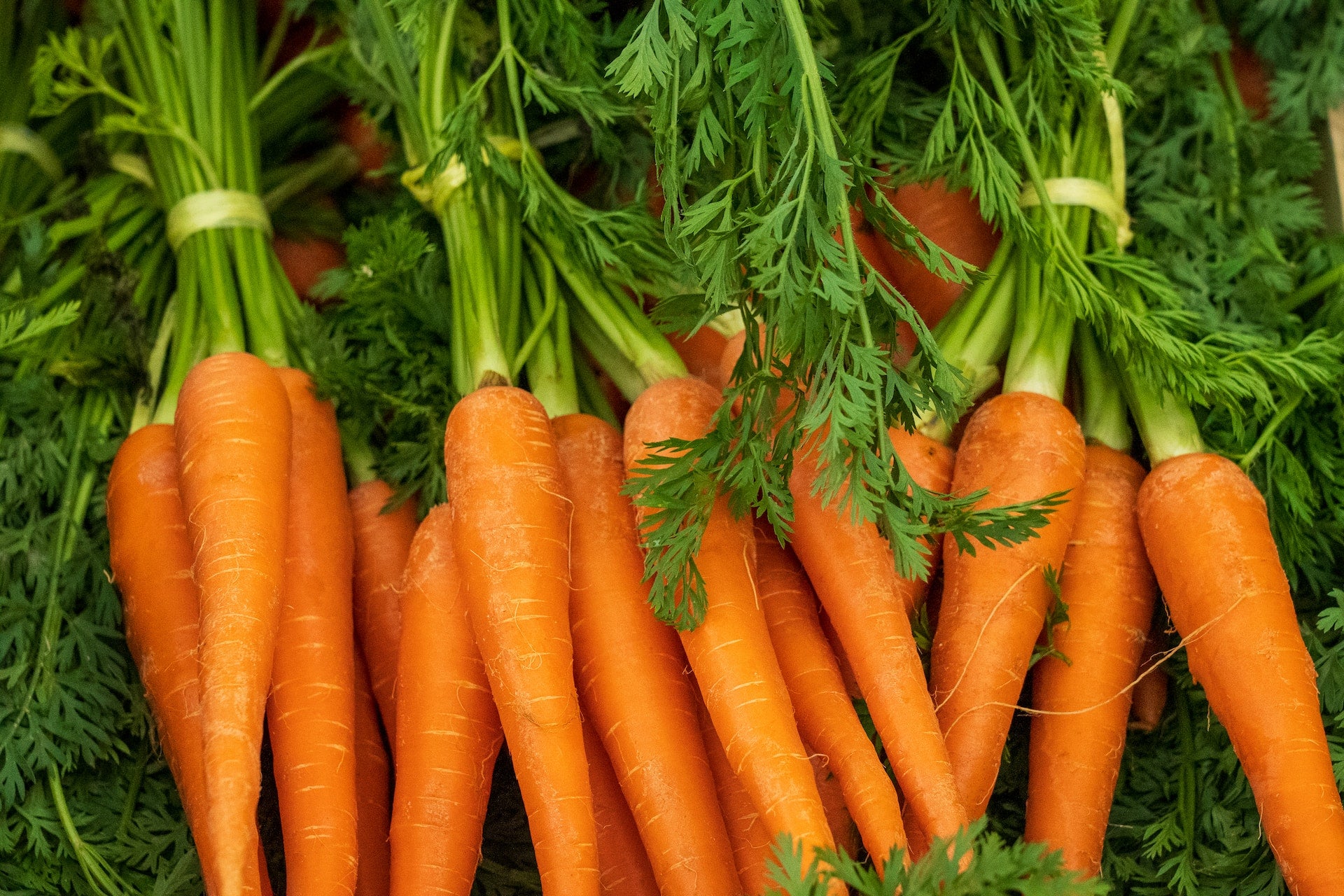organic carrots- O2 Living blog makers of organic cold-pressed fruit and vegetable Living Juice