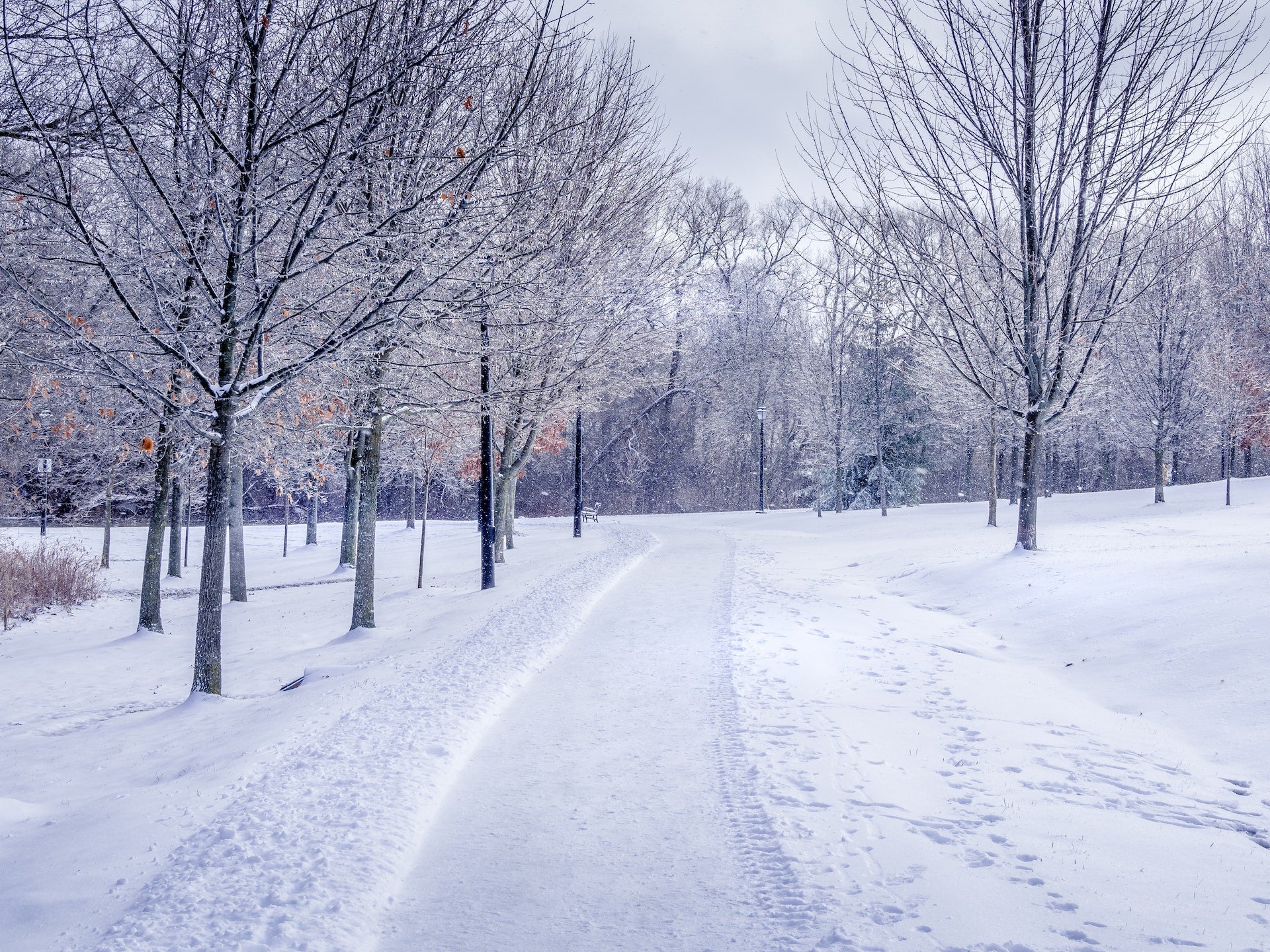 cold weather- O2 Living blog makers of organic cold-pressed fruit and vegetable Living Juice