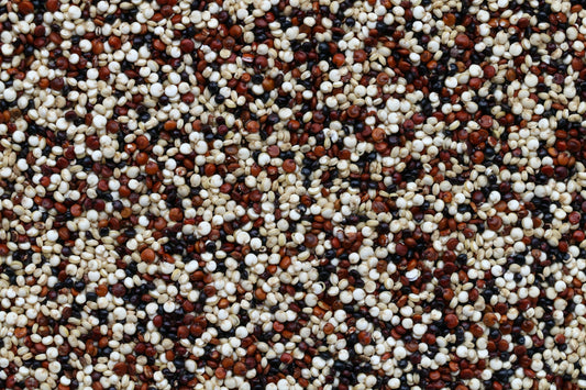 Zesty Quinoa and Black Bean Salad