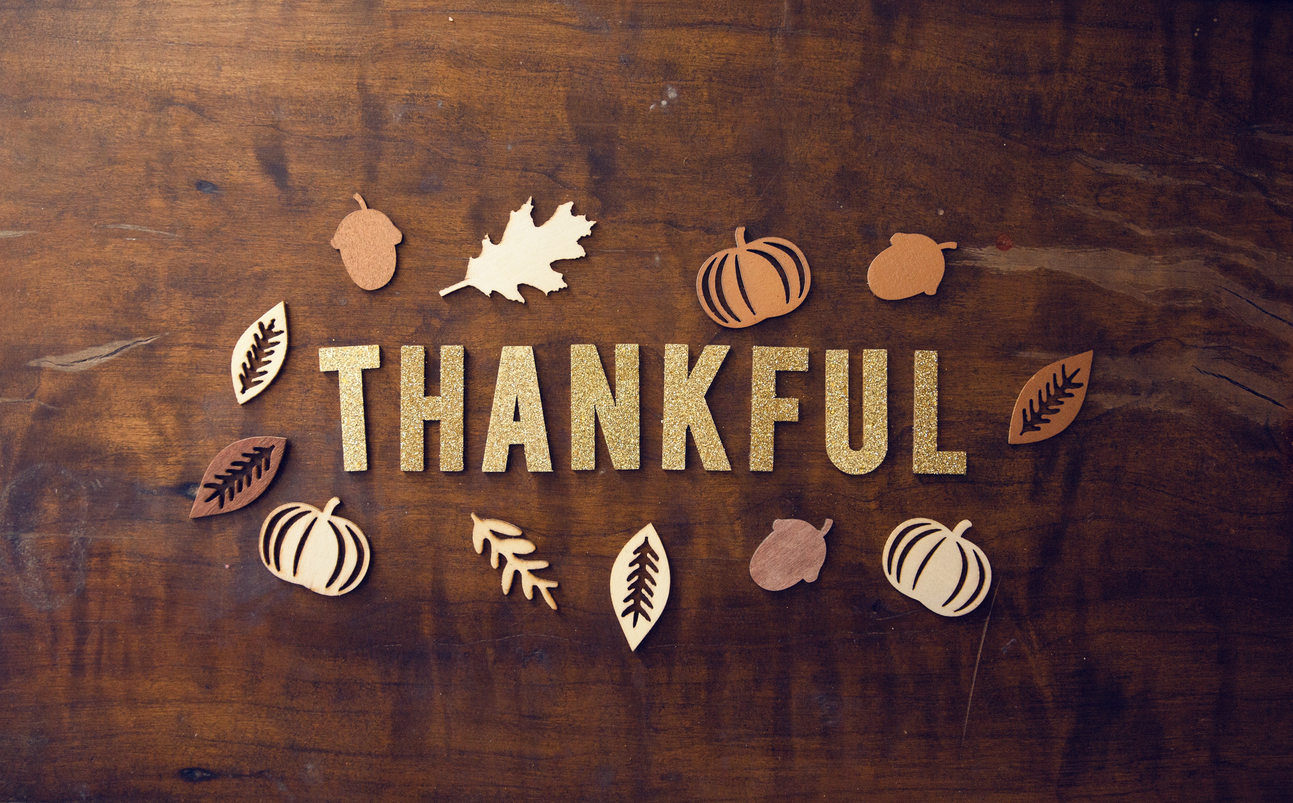 Thanksgiving: The Living Juice Way