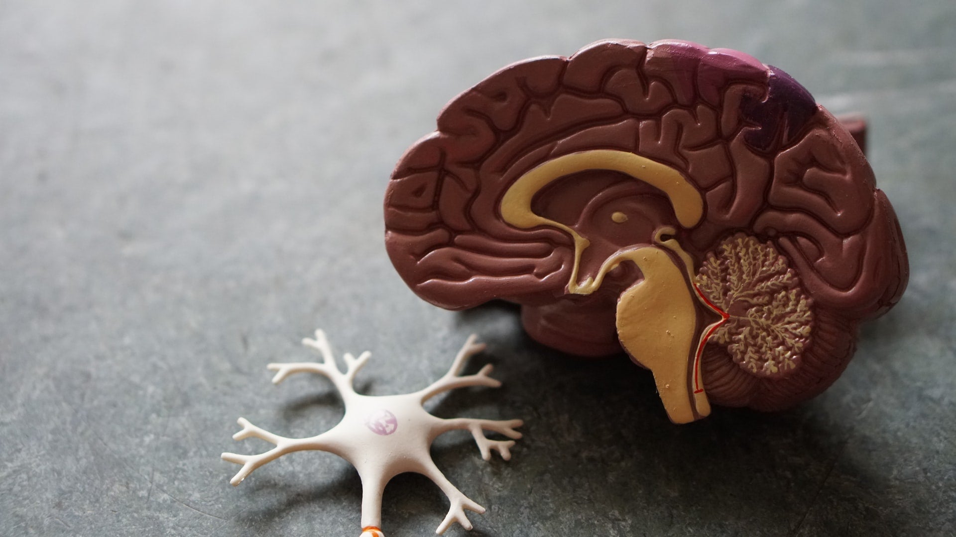 nervous system- O2 Living blog makers of organic cold-pressed fruit and vegetable Living Juice